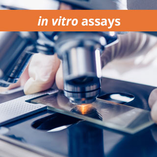 in vitro assays - microscope