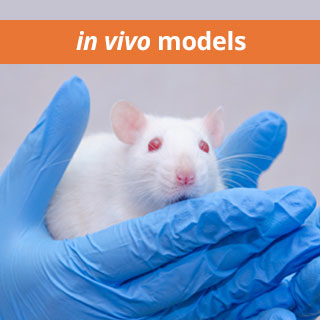 in vivo models - laboratory rat